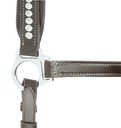 Licol cuir NORTON PRO "Strass"
