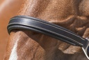 Licol cuir NORTON PRO "Grooming"