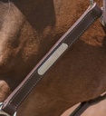Licol cuir NORTON PRO "Grooming"