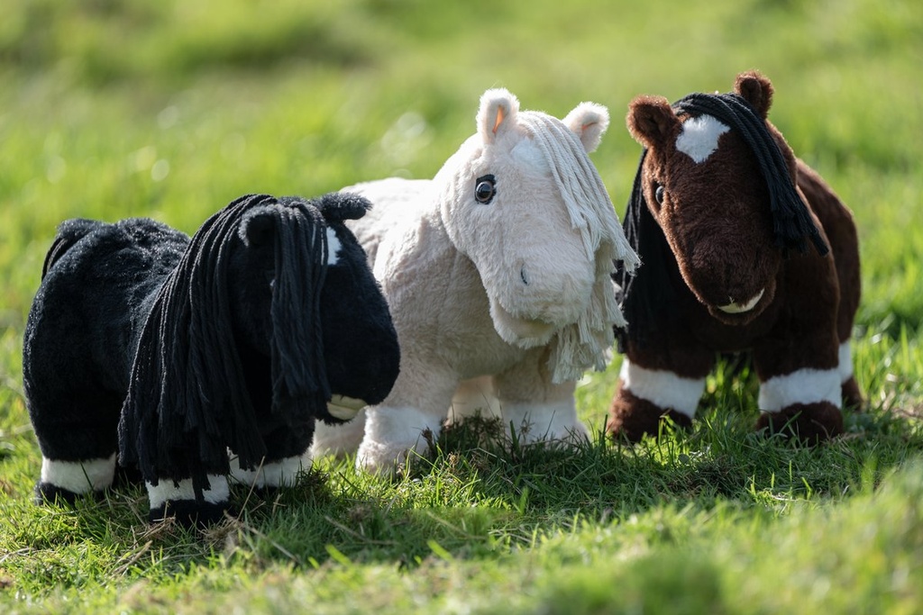 Cuddle Pony - noir (9100) (13)