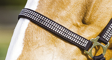 Licol NORTON "Diamond"