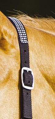 Licol NORTON "Diamond"