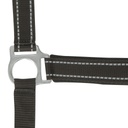 Licol NORTON "Reflective"