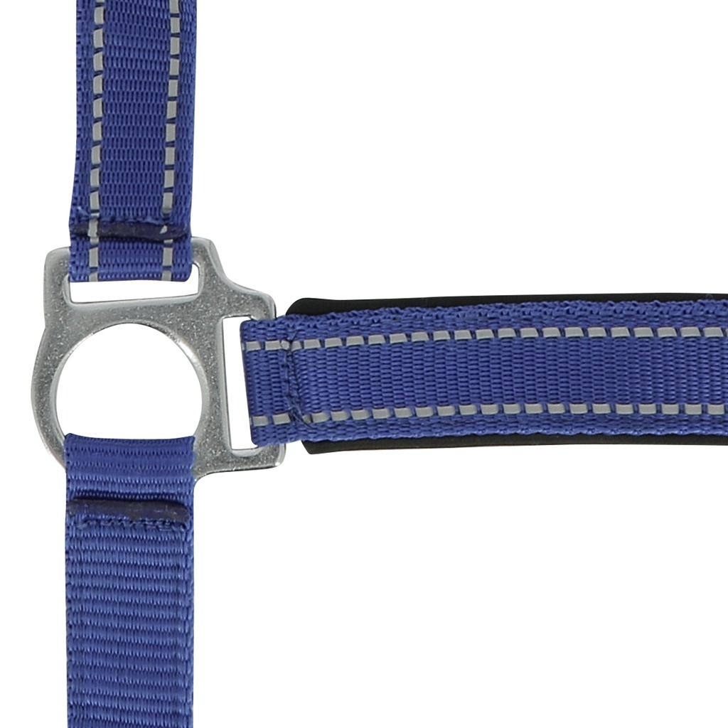 Licol NORTON "Reflective"