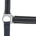 Licol NORTON "Reflective"