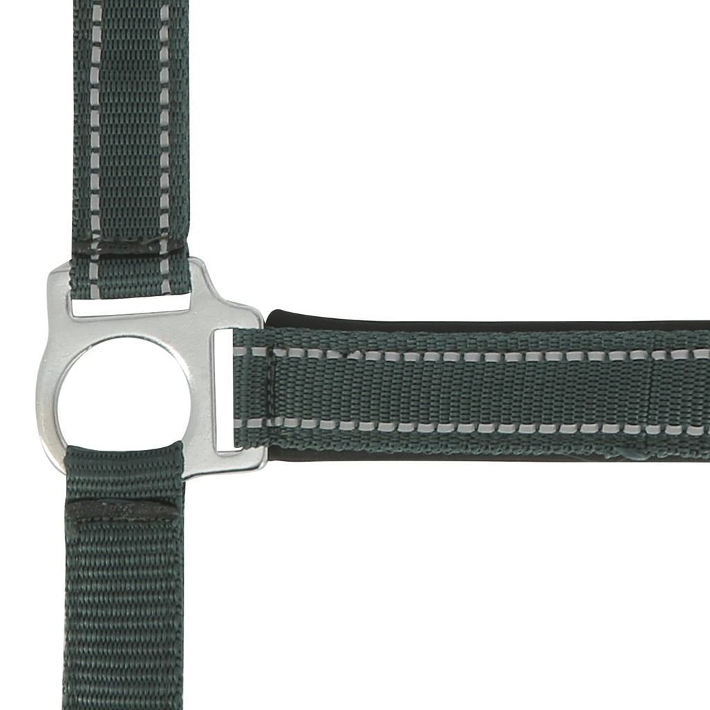Licol NORTON "Reflective"