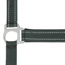 Licol NORTON "Reflective"