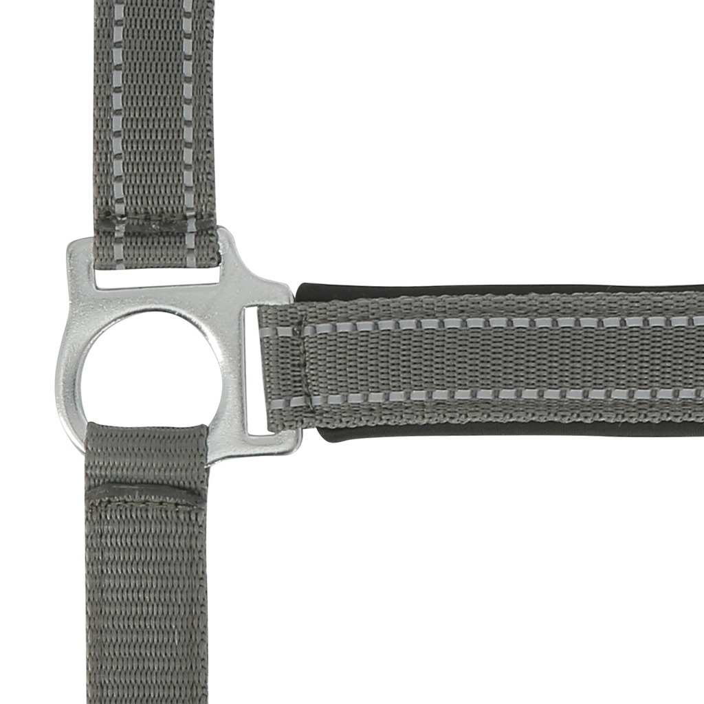 Licol NORTON "Reflective"