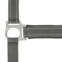 Licol NORTON "Reflective"