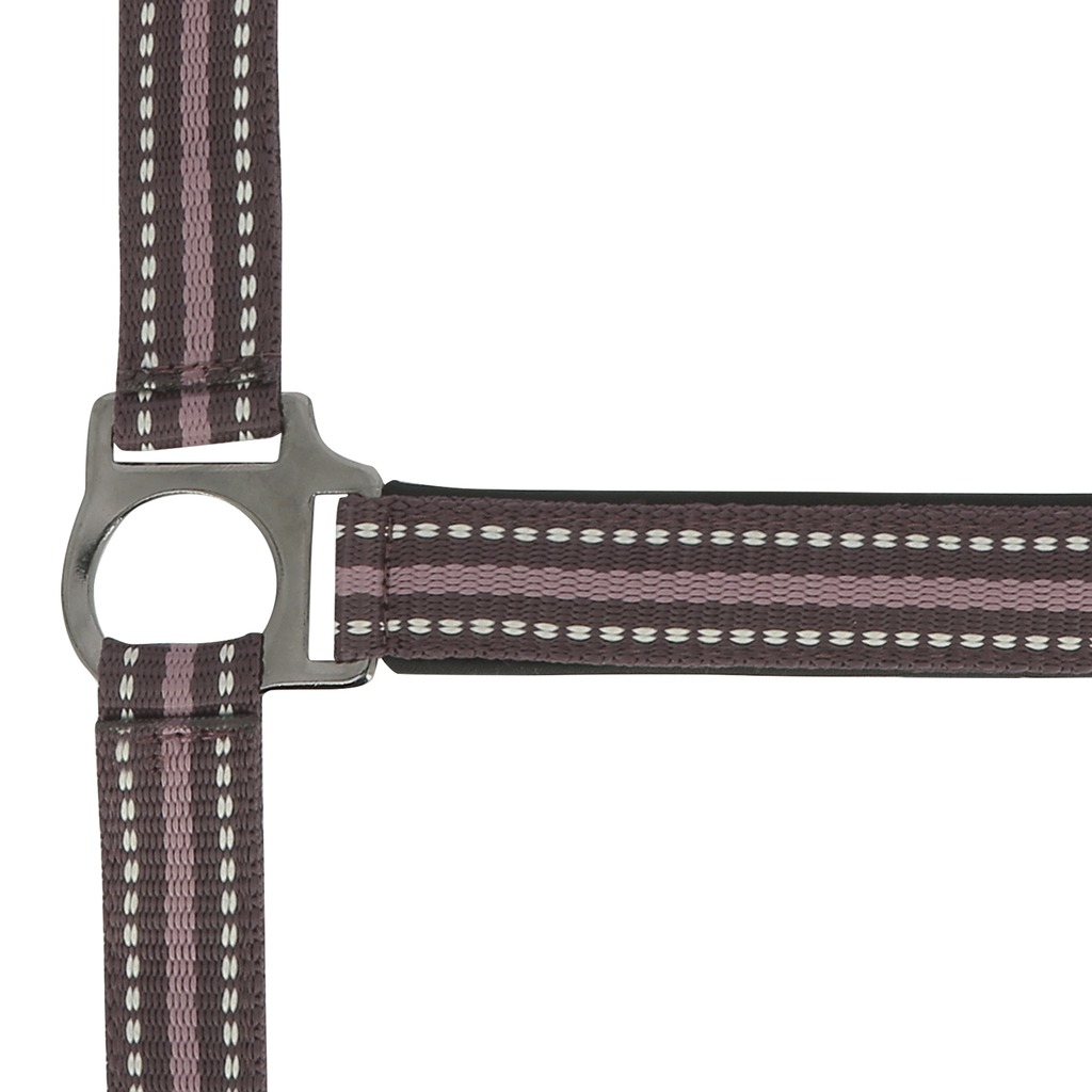 Licol NORTON "Bouclerie noire"