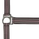 Licol NORTON "Bouclerie noire"