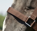 Licol NORTON cheval de trait