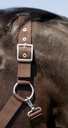 Licol NORTON cheval de trait