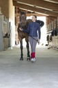 Veste hybride EQUITHÈME "Olivia"