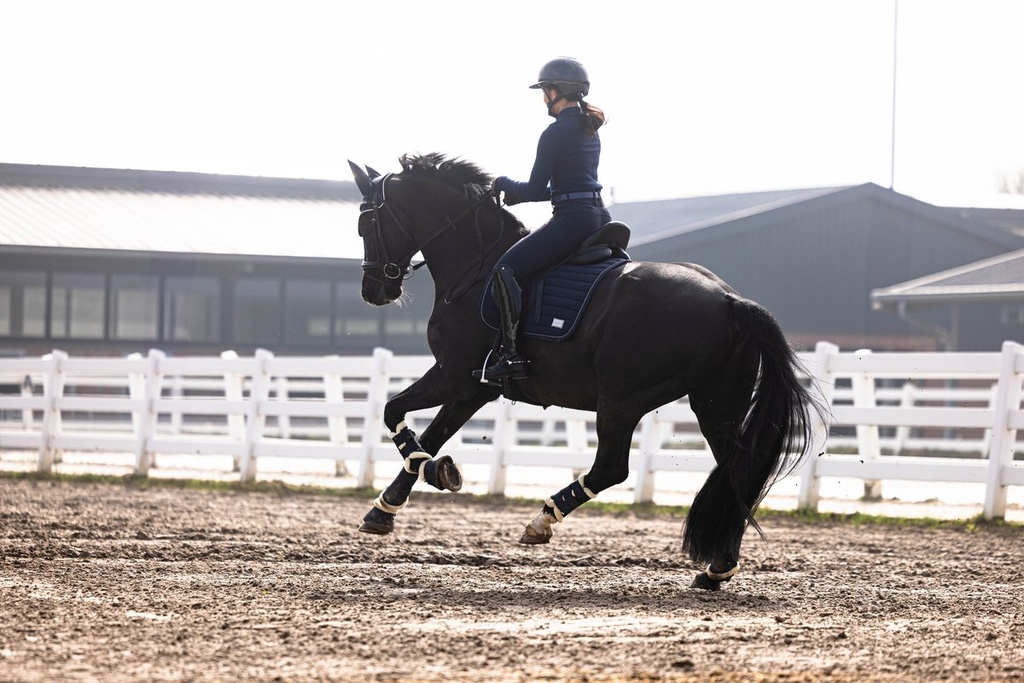 Pantalon -Arezzo- fond 1/1 en  - Bleu foncé (4)