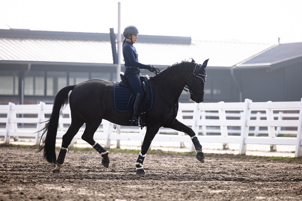 Pantalon -Arezzo- fond 1/1 en  - Bleu foncé (5)