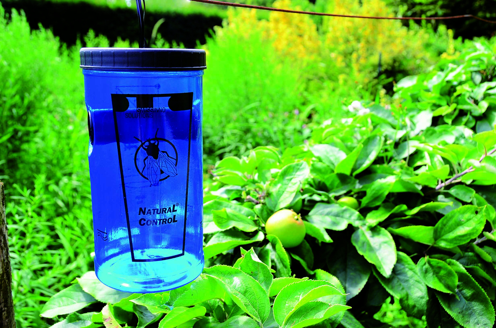 Piège à mouches Natural Control