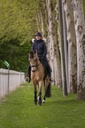 Veste PRO SERIES "Voltige"