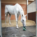 BIZZY HORSE "Bizzy Ball"