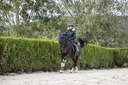 Veste PRO SERIES "Voltige"