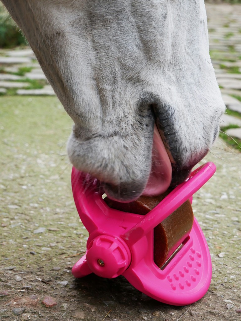 BIZZY HORSE "Bizzy Ball"