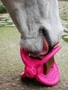 BIZZY HORSE "Bizzy Ball"