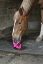 BIZZY HORSE "Bizzy Ball"