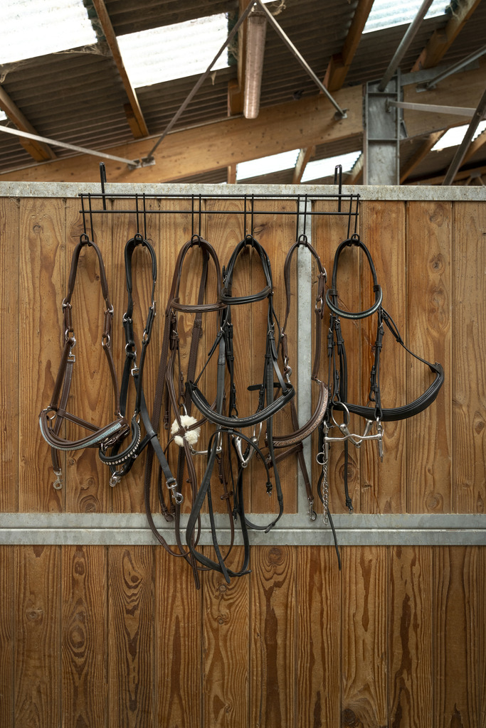 Porte-brides HIPPOTONIC 6 places, à crochets