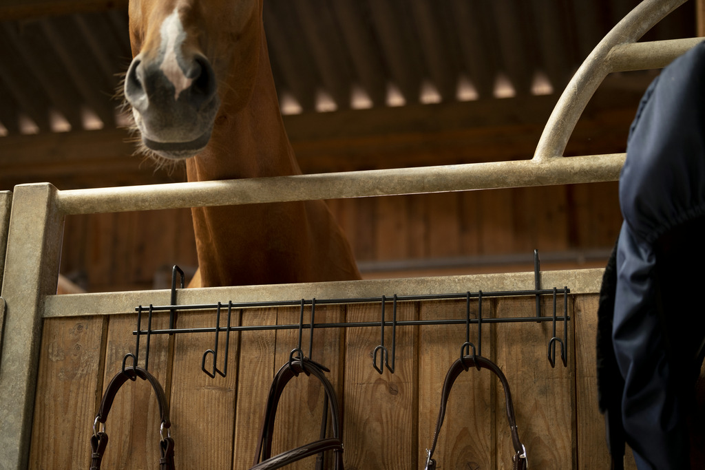 Porte-brides HIPPOTONIC 6 places, à crochets