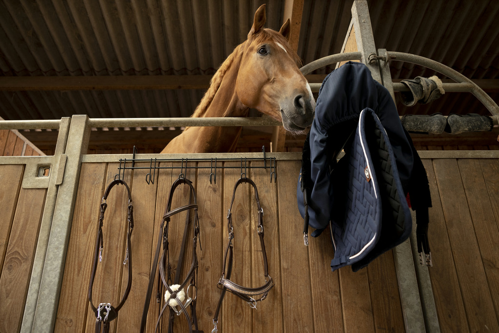 Porte-brides HIPPOTONIC 6 places, à crochets