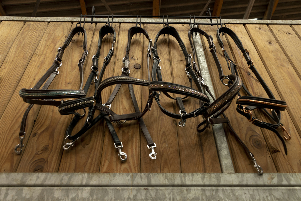 Porte-brides HIPPOTONIC 6 places, à crochets