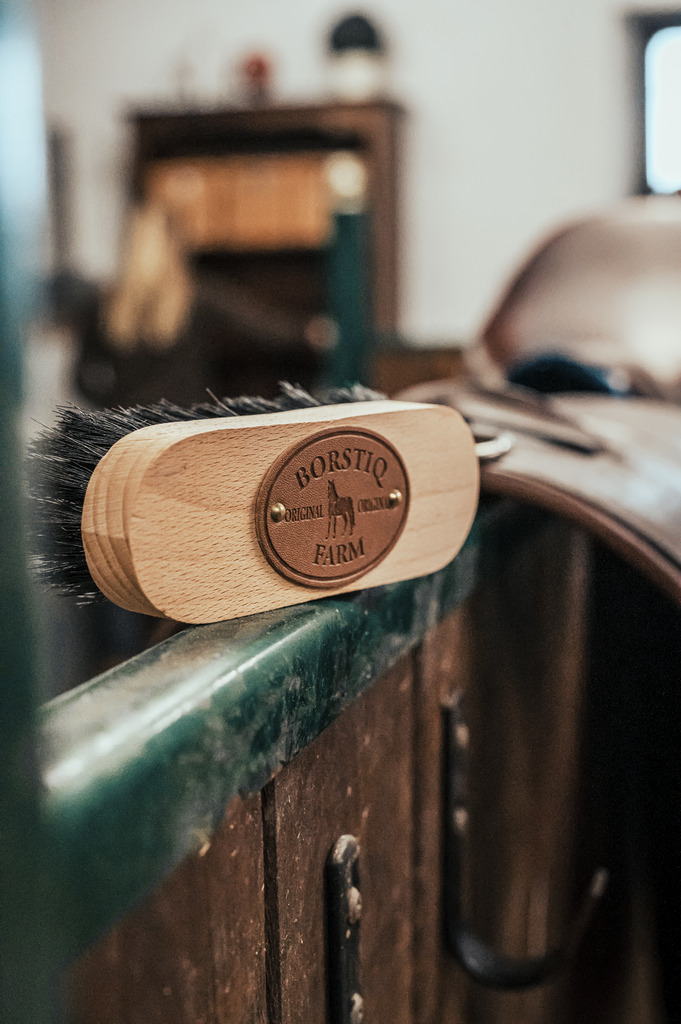 Brosse de tête BORSTIQ