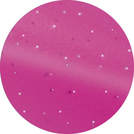 Étrille métallique ronde HIPPOTONIC fluo pailleté