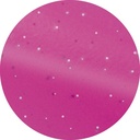 Étrille métallique ronde HIPPOTONIC fluo pailleté
