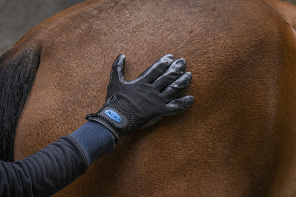 Gant de pansage anti-mue HIPPOTONIC