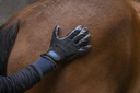 Gant de pansage anti-mue HIPPOTONIC