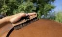 Brosse douce HIPPOTONIC "Crins"
