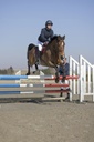 Blouson PRO SERIES "Equilibre"