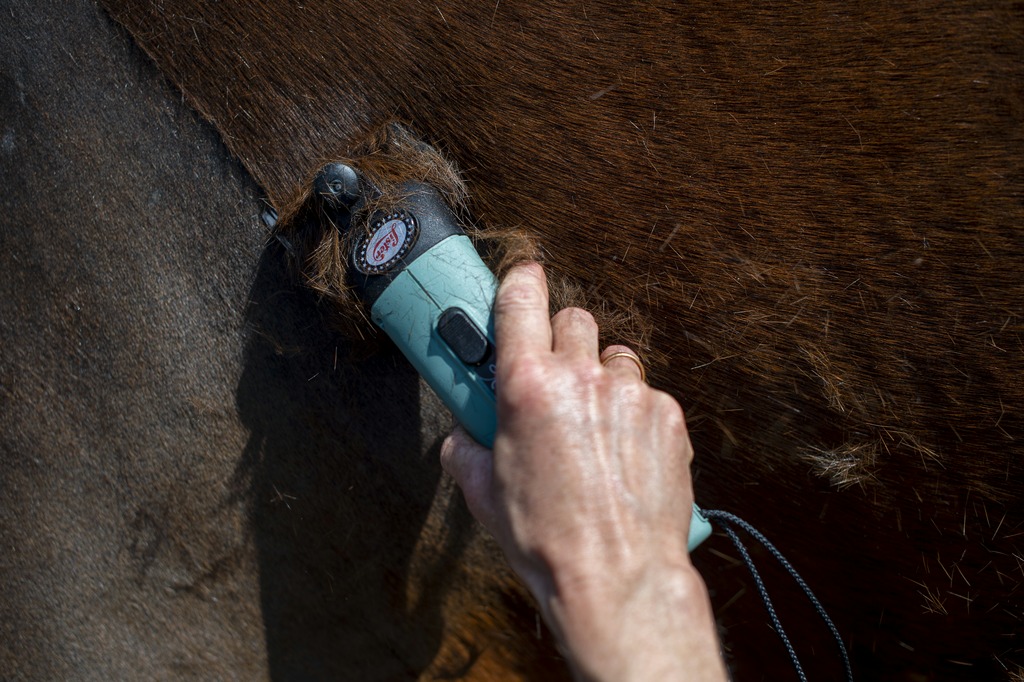 Tondeuse LISTER "Star", saccoche
