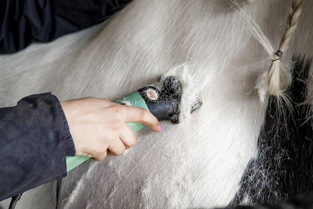 Tondeuse LISTER "Star", saccoche