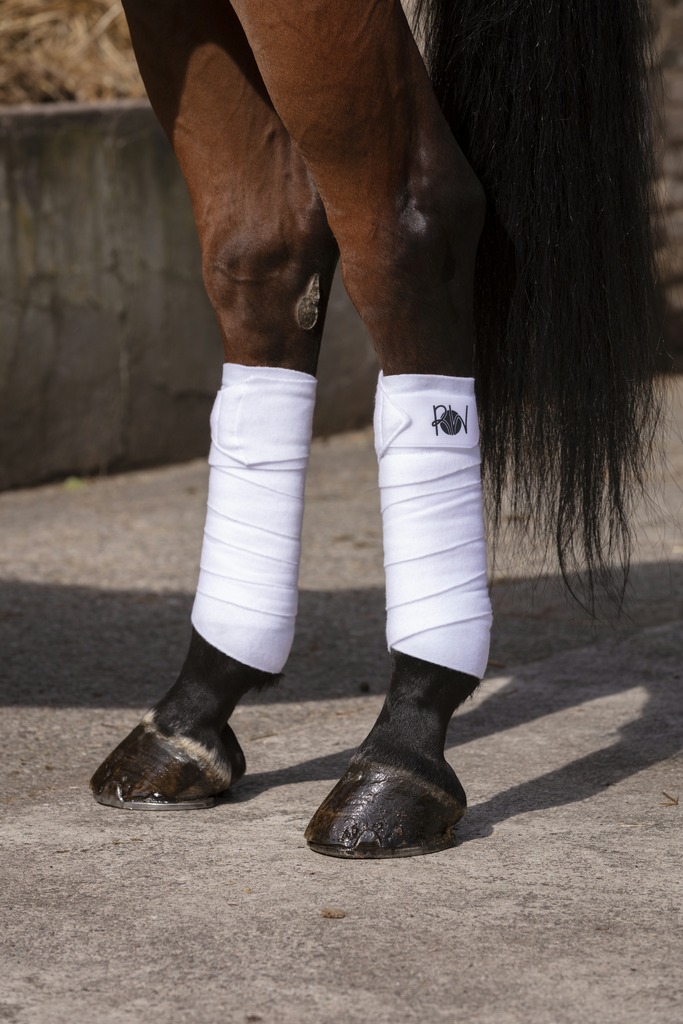 Bandes de polo double face RIDING WORLD