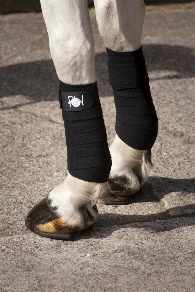 Bandes de polo double face RIDING WORLD