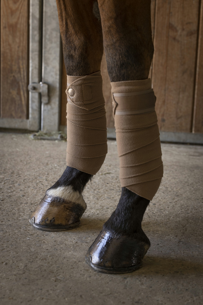 Bandes de polo EQUITHÈME "Oslo"