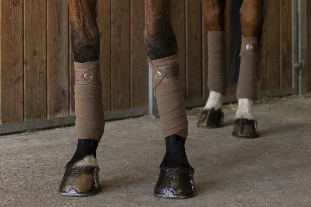 Bandes de polo EQUITHÈME "Oslo"
