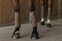 Bandes de polo EQUITHÈME "Oslo"