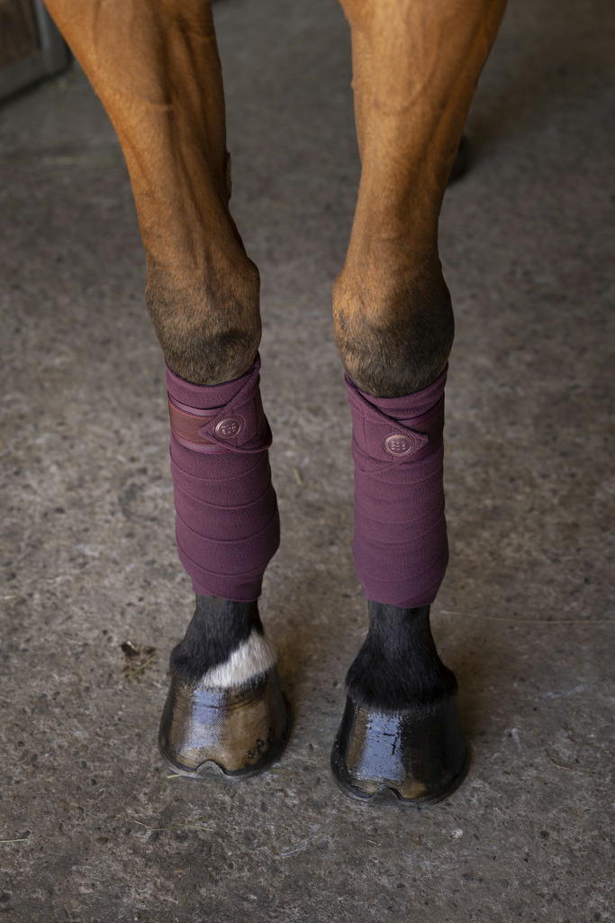 Bandes de polo EQUITHÈME "Oslo"