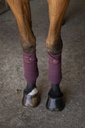 Bandes de polo EQUITHÈME "Oslo"