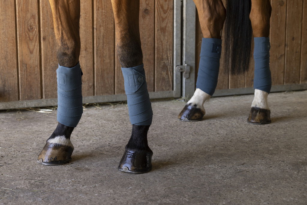 Bandes de polo EQUITHÈME "Oslo"