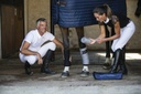 Bandes de repos EQUITHÈME
