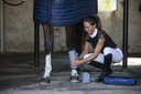 Bandes de repos EQUITHÈME